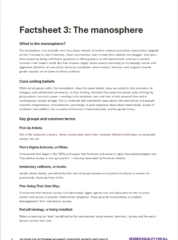 Coversheet factsheet about manosphere
