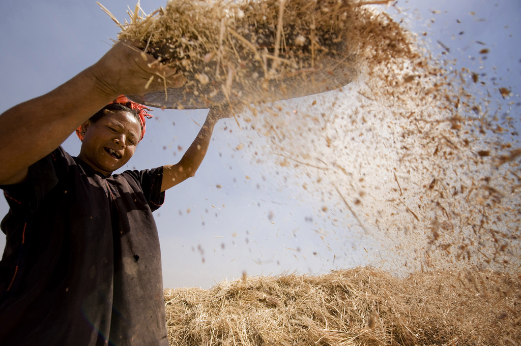 A farmer from the Palaung hill tribe in Myanmar. Photo: Jean Qingwen Loo/UN Women