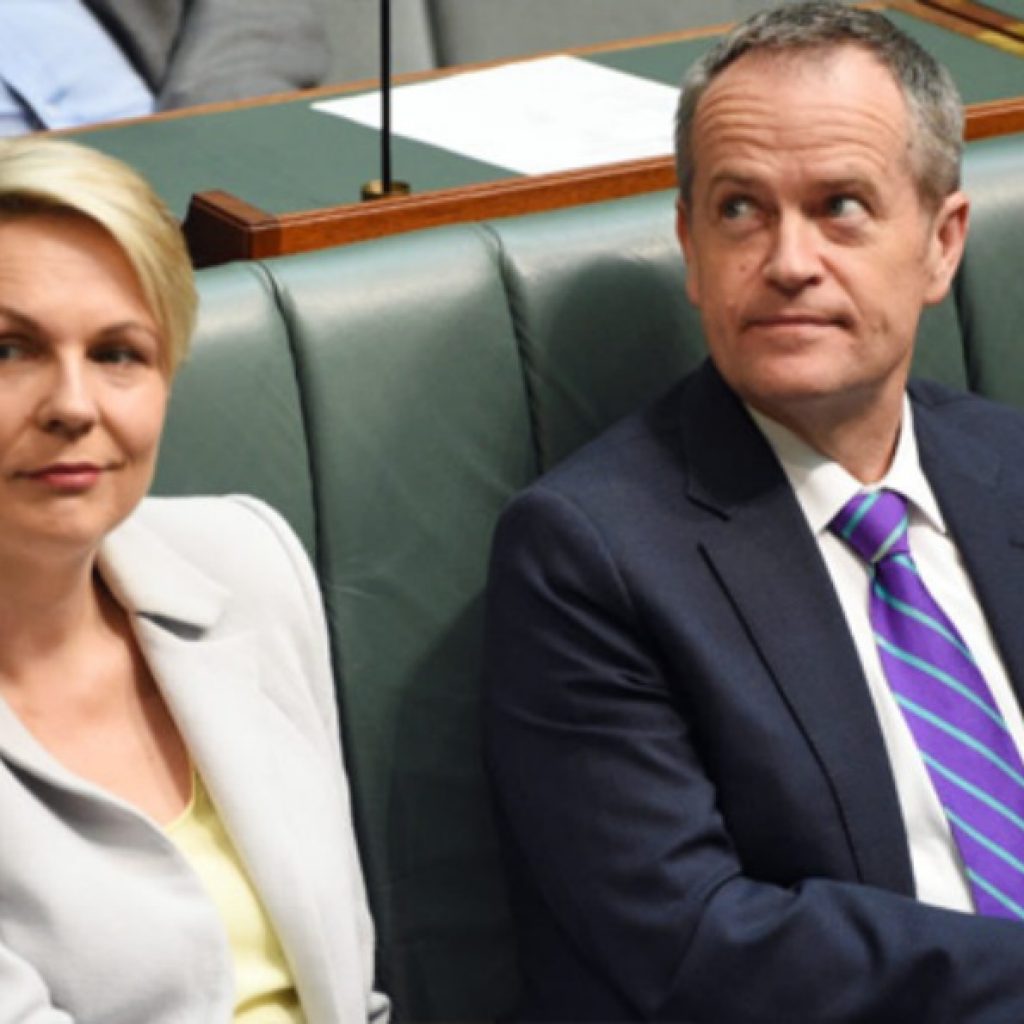 Image of Tanya Plibersek and Bill Shorten in parliament