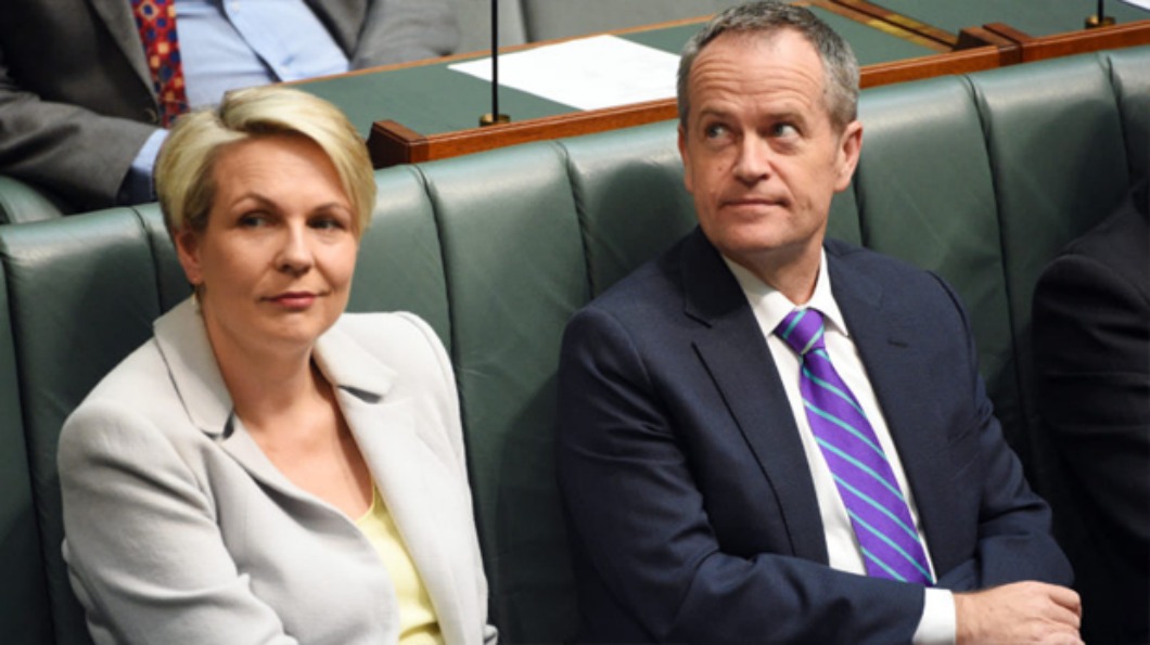 Image of Tanya Plibersek and Bill Shorten in parliament