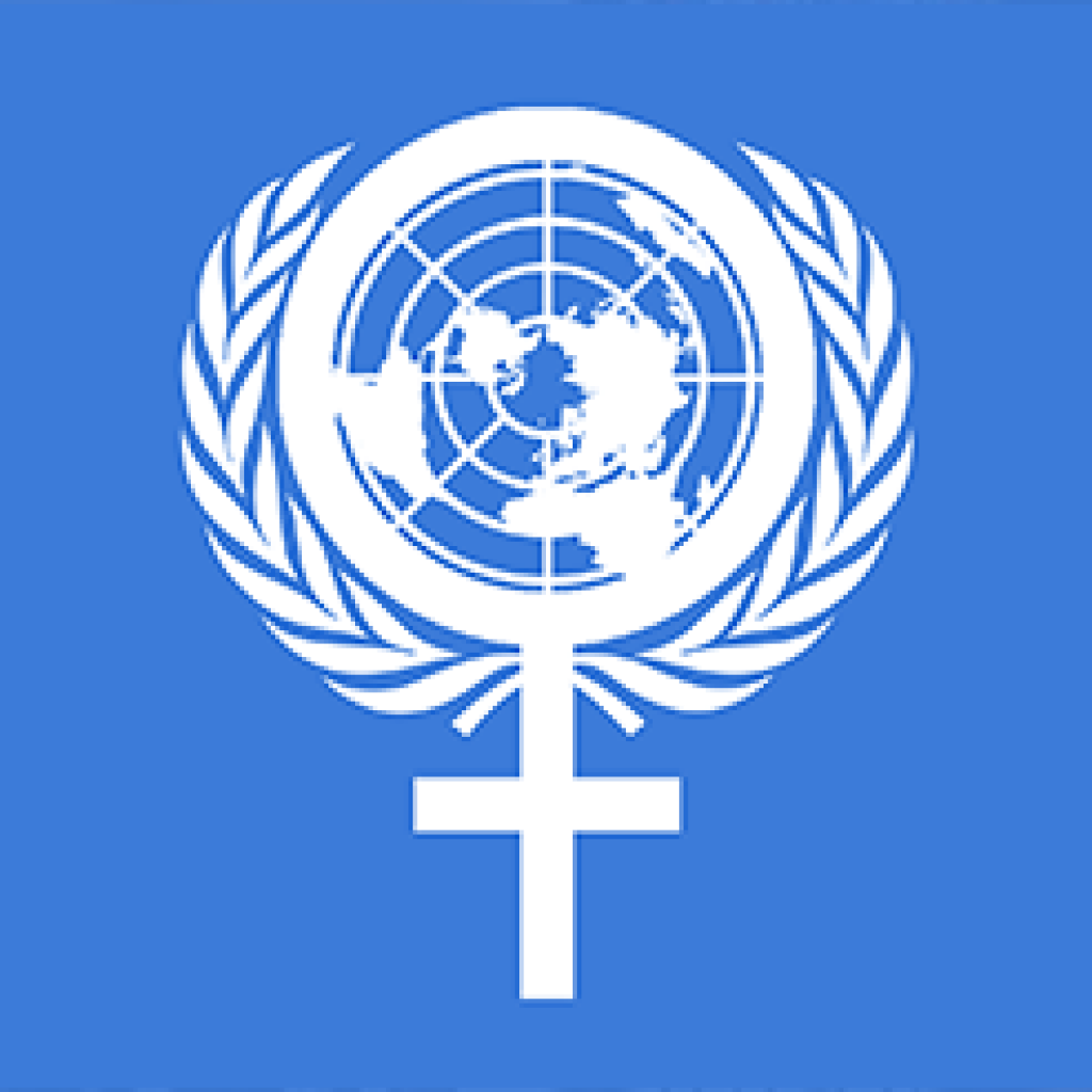 What s The Role Of The UN Secretary General IWDA