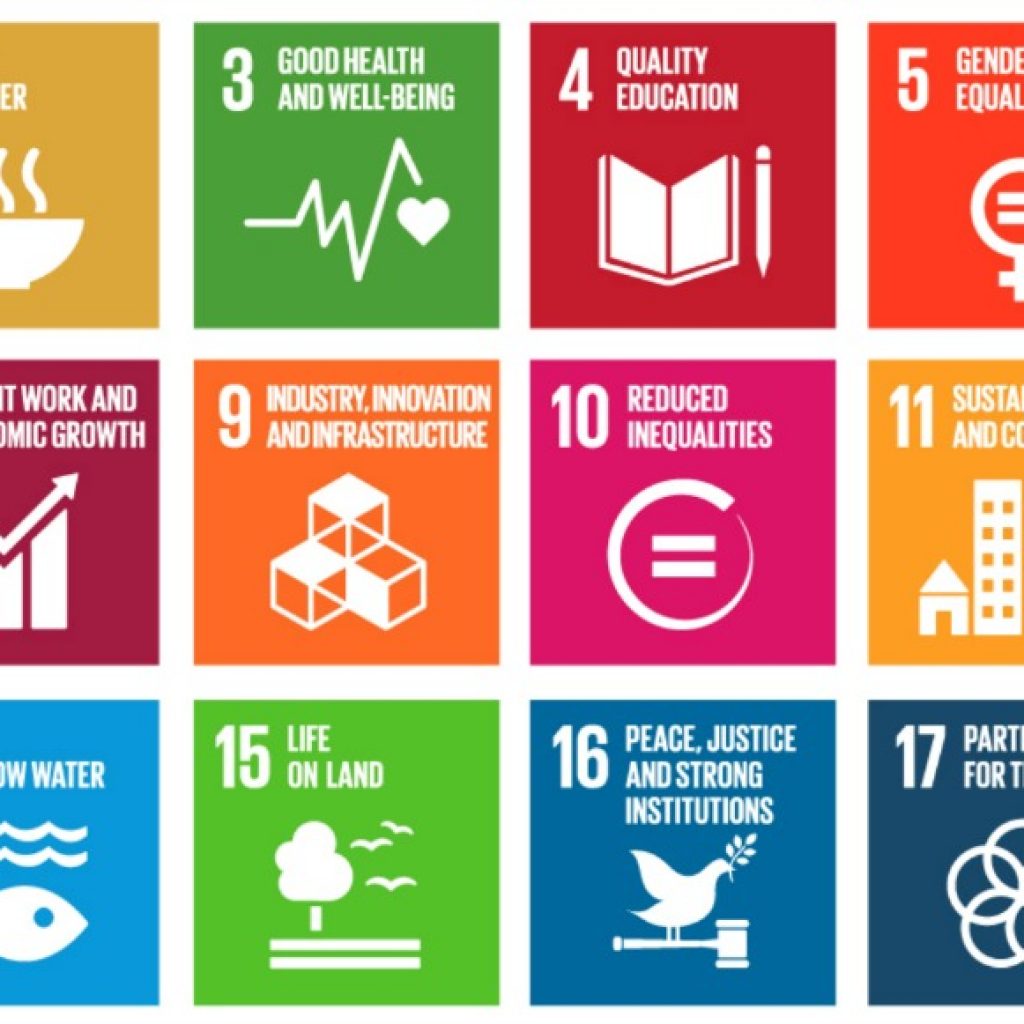 Image of the Sustainable Development Goals