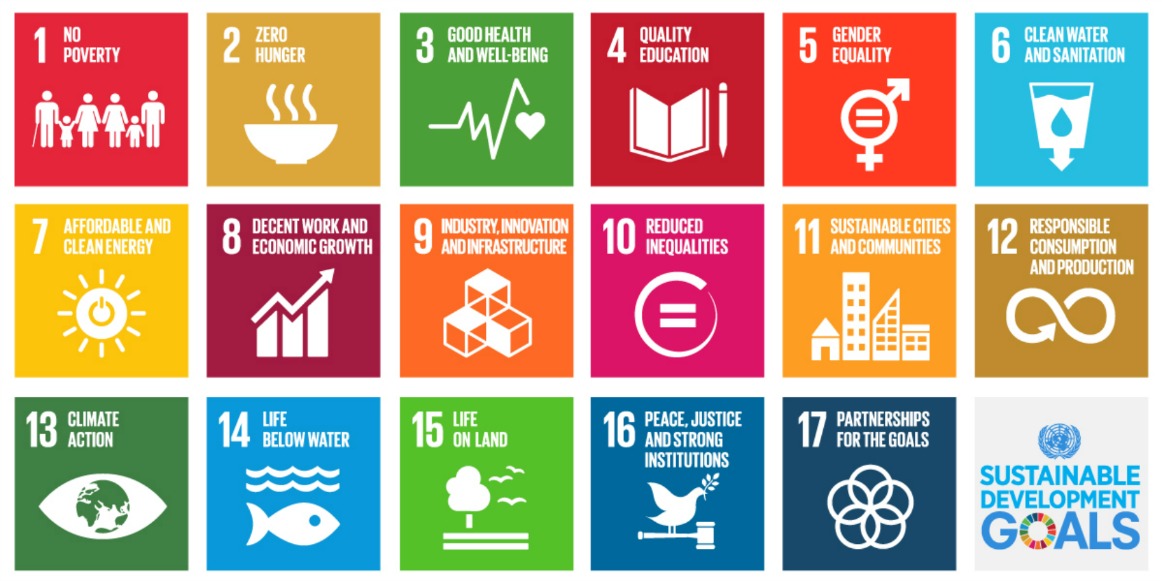 Image of the Sustainable Development Goals